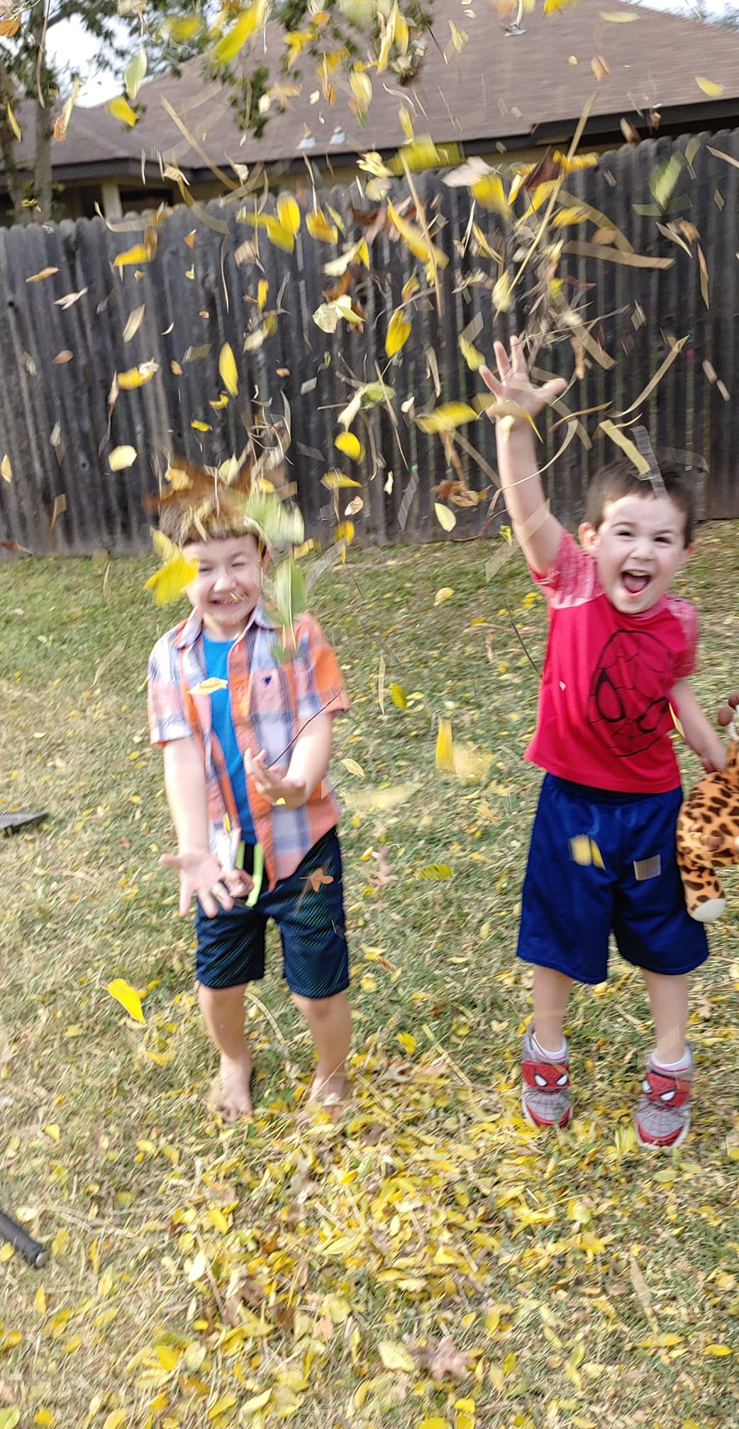 angela's 2 tubal reversal babies now young boys throwing leaves in the air