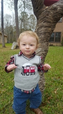 Lynn Mclain's Tubal Reversal baby boy from Spring, Texas
