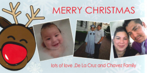 christmas card from a tubal reversal patient with her family