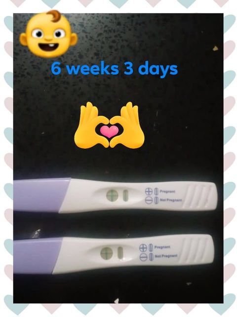 2 pregnancy tests showing positive indicate that roxy delilan is 6 weeks and 3 days pregnant with her tubal reversal baby number 2