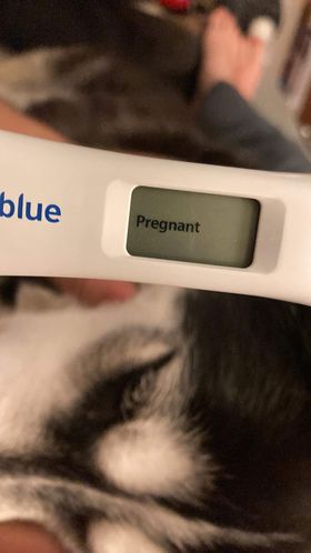 godoys' positive pregnancy test after a june 2022 tubal reversal with doctor rosenfeld
